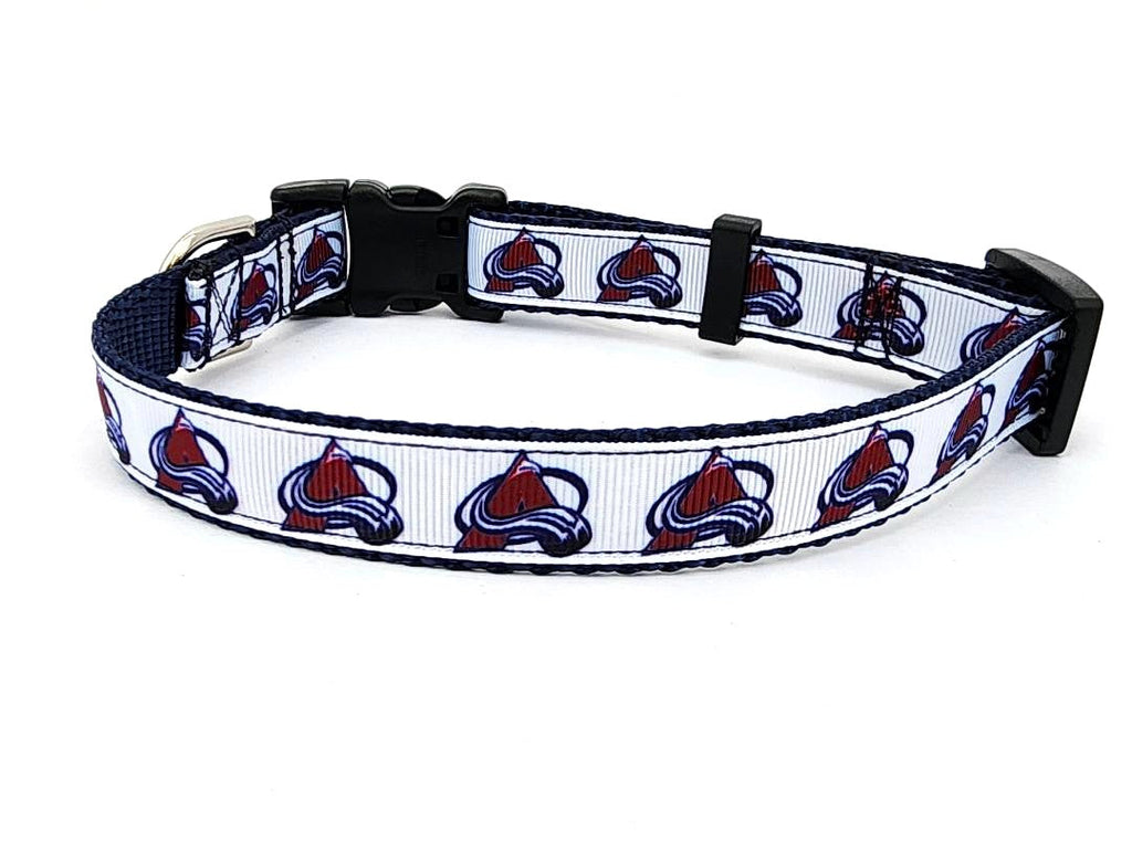 3/4" Avalanche Dog Collar, Leash, or Martingale image 1
