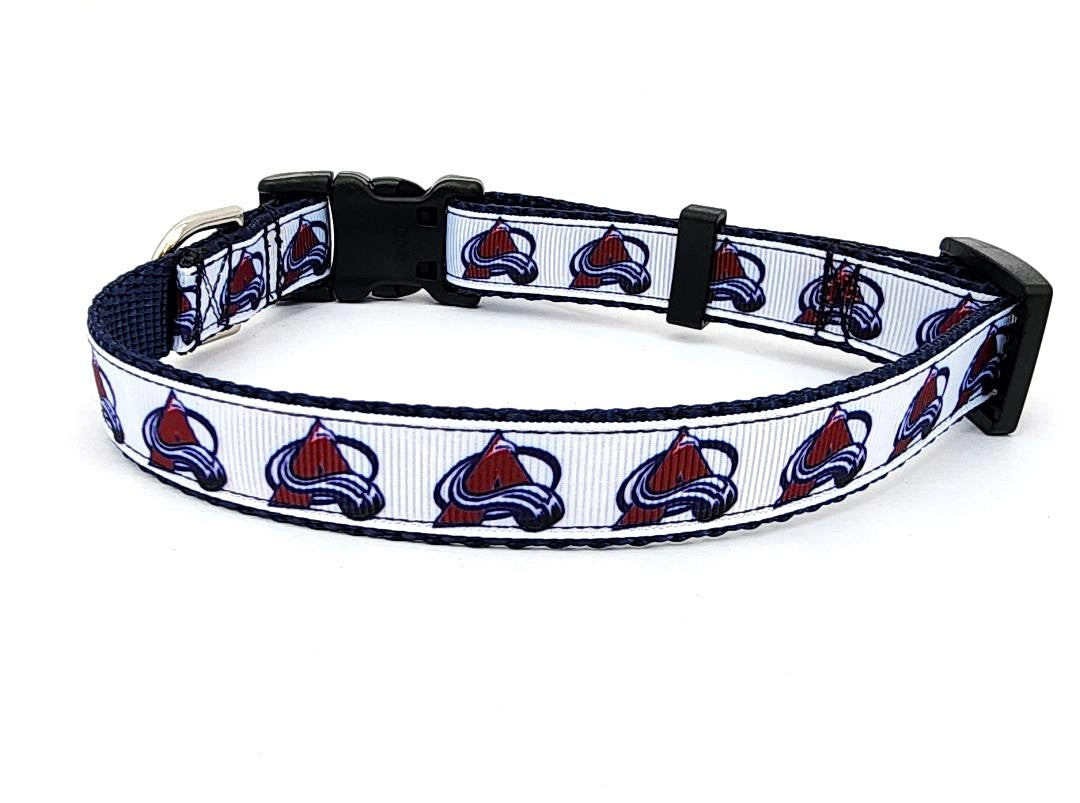3/4" Avalanche Dog Collar, Leash, or Martingale image 1