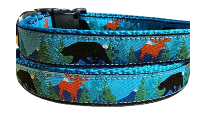 3/4" Bear and Moose Dog Collar, Leash, Martingale, Harness image 1