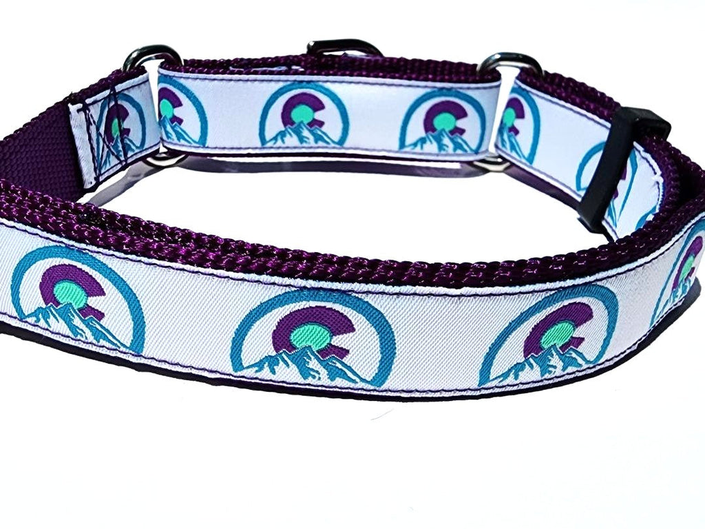 1" Purple Colorado Martingale Collar or Leash image 4