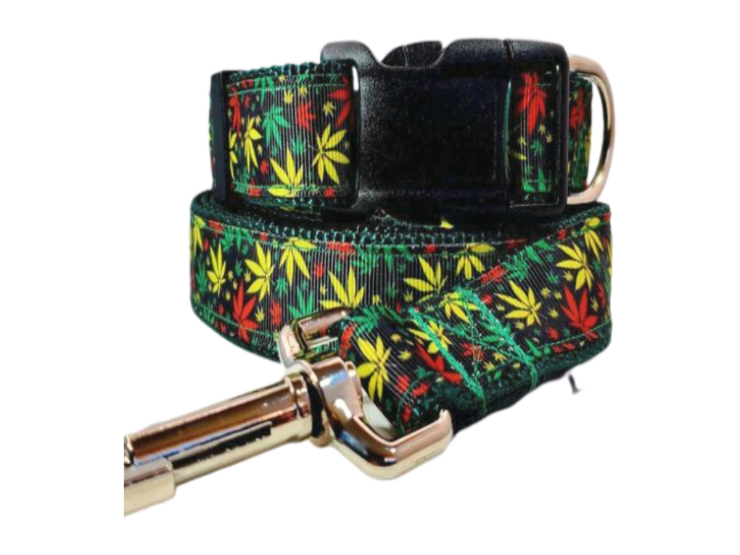 Marijuana Dog Collar, Leash, Martingale, or Harness image 0