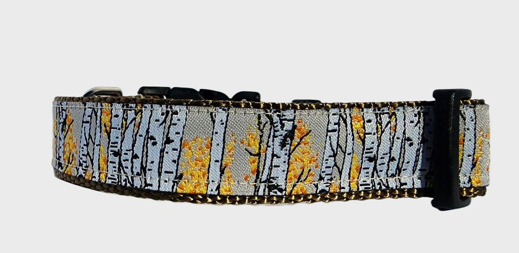 1" Aspen Tree Dog Collar or Leash image 2