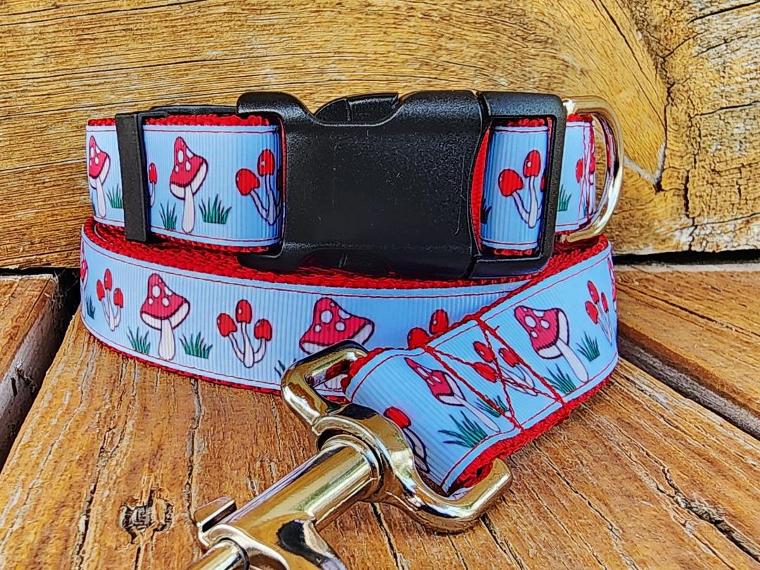 1" Mushroom Dog Collar, Leash, or Martingale image 0