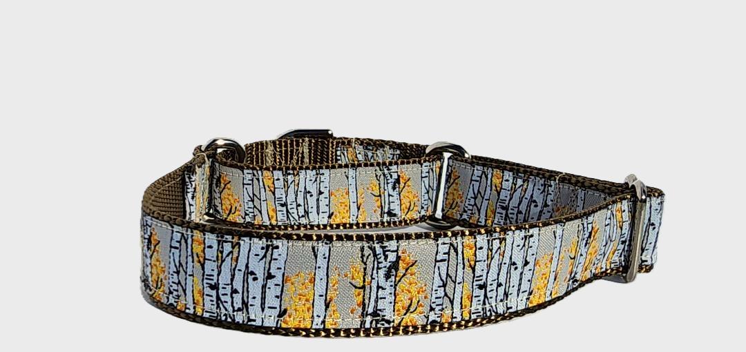 1" Aspen Tree Martingale Collar or Leash image 0