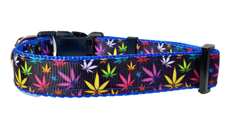 Blue Marijuana Dog Collar, Leash, Martingale, or Harness image 1