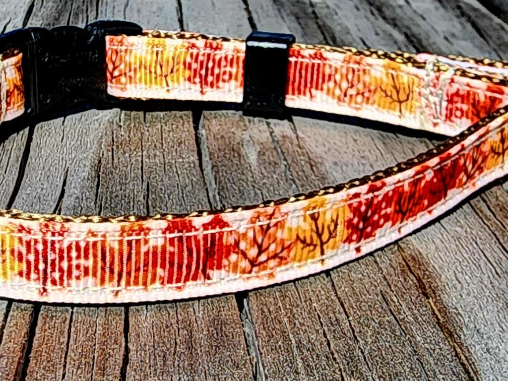 3/8" Fall Leaves Dog Collar or Leash image 1