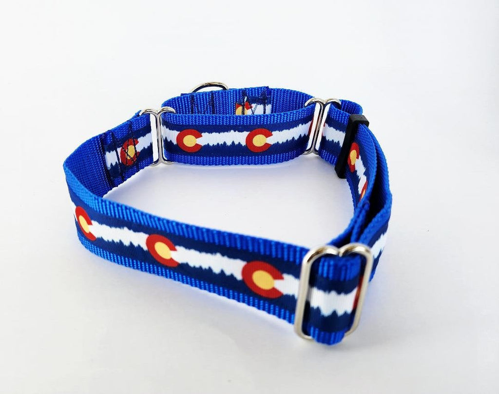 1.5" Blue Colorado Martingale Collar image 0