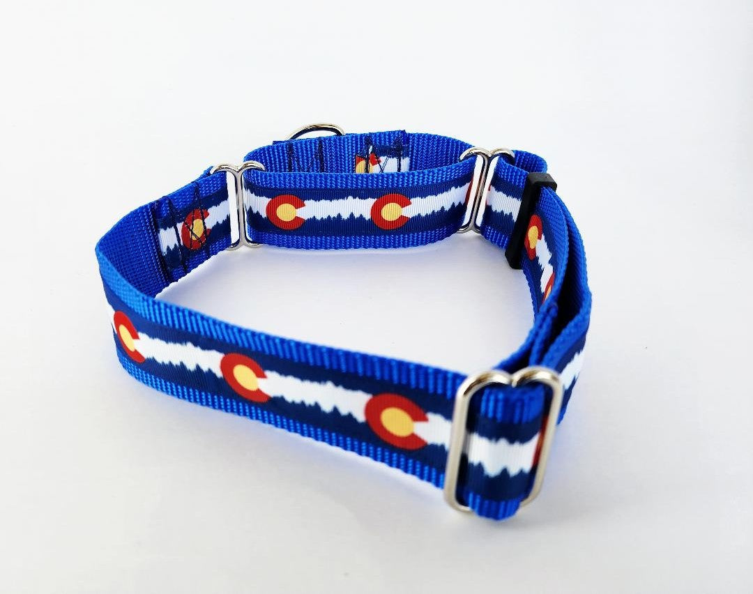 1.5" Blue Colorado Martingale Collar image 0