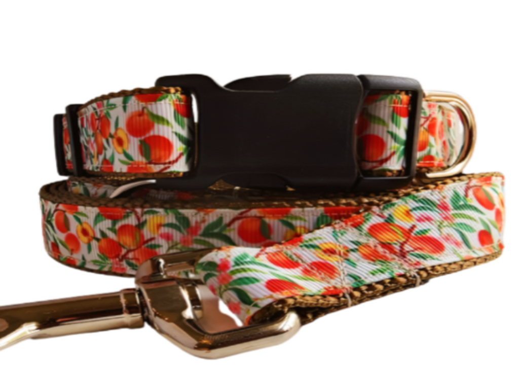 1" Peach Dog Collar, Leash, Martingale, or Harness image 0