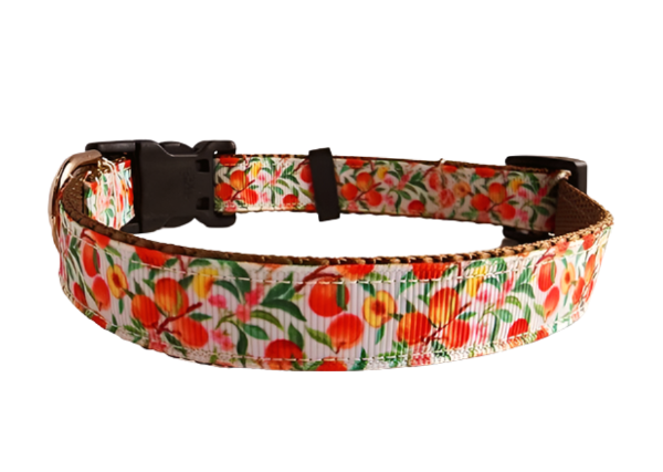 1" Peach Dog Collar, Leash, Martingale, or Harness image 2