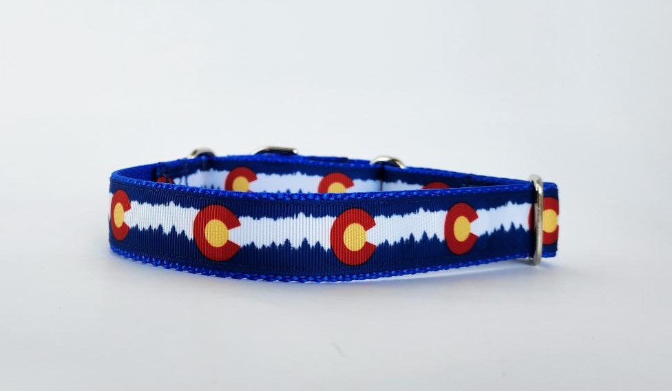 1" Blue Colorado Martingale Dog Collar image 3
