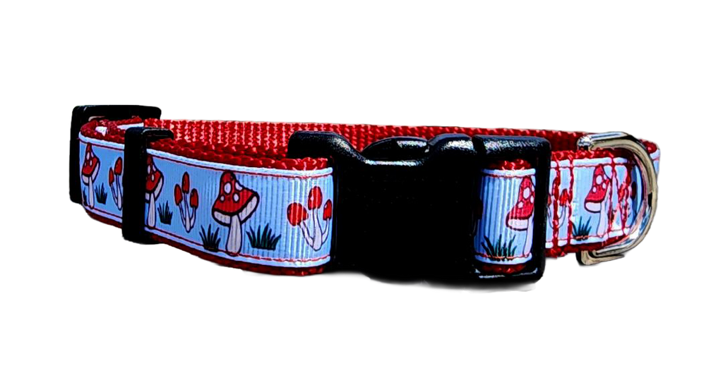3/4" Mushroom Dog Collar or Leash