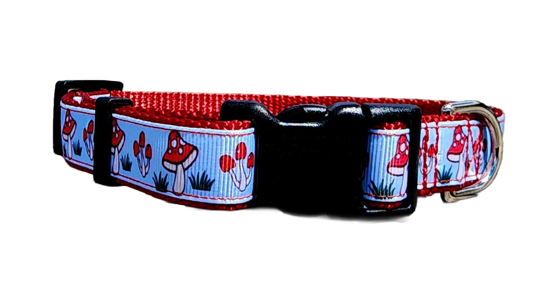 3/4" Mushroom Dog Collar or Leash