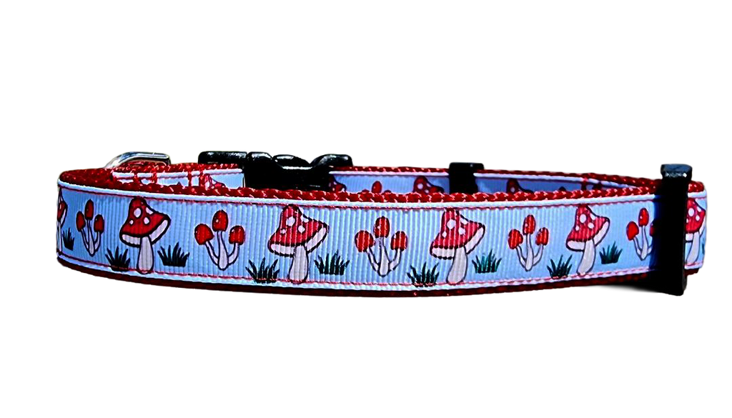 3/4" Mushroom Dog Collar or Leash