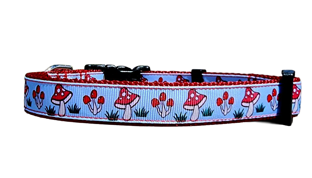 3/4" Mushroom Dog Collar or Leash
