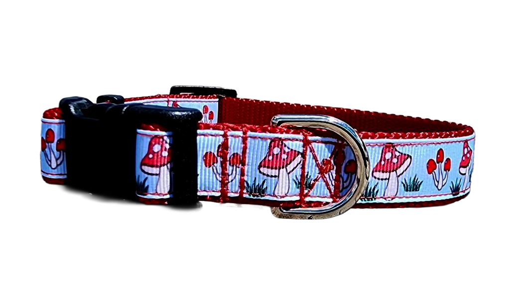 3/4" Mushroom Dog Collar or Leash