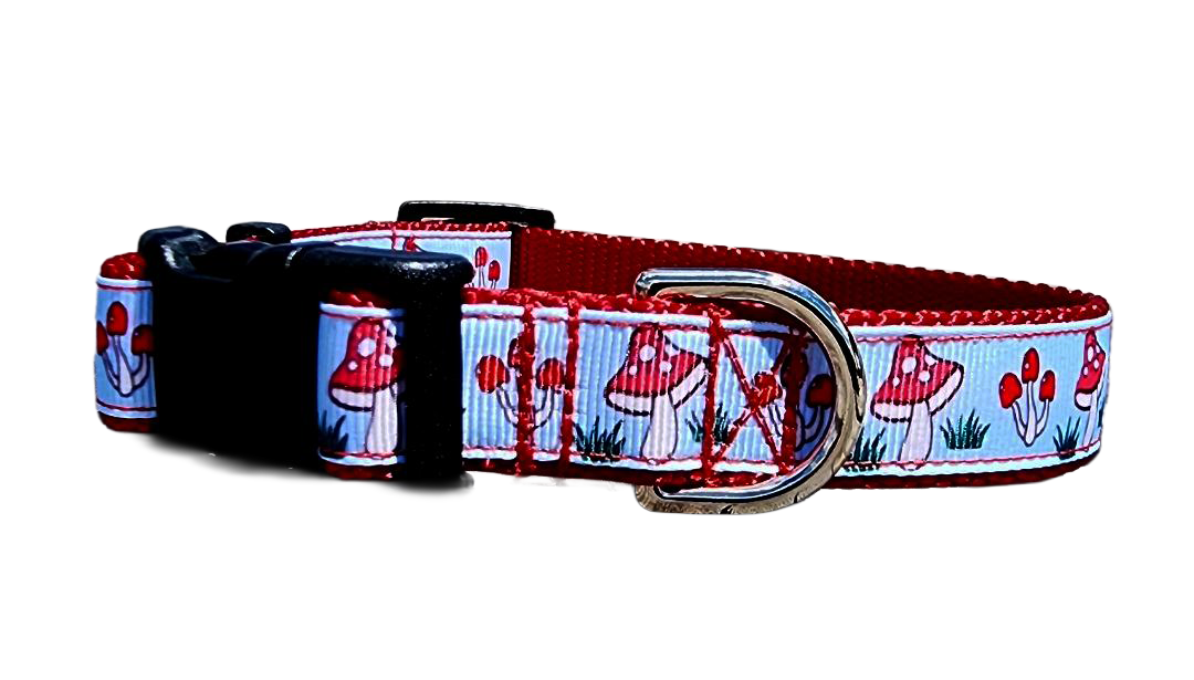 3/4" Mushroom Dog Collar or Leash