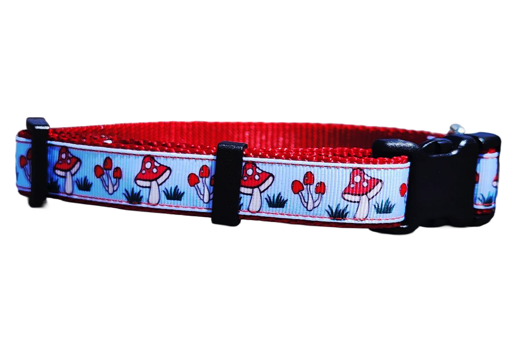 3/4" Mushroom Dog Collar or Leash