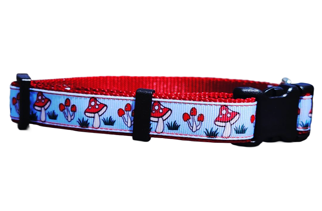 3/4" Mushroom Dog Collar or Leash