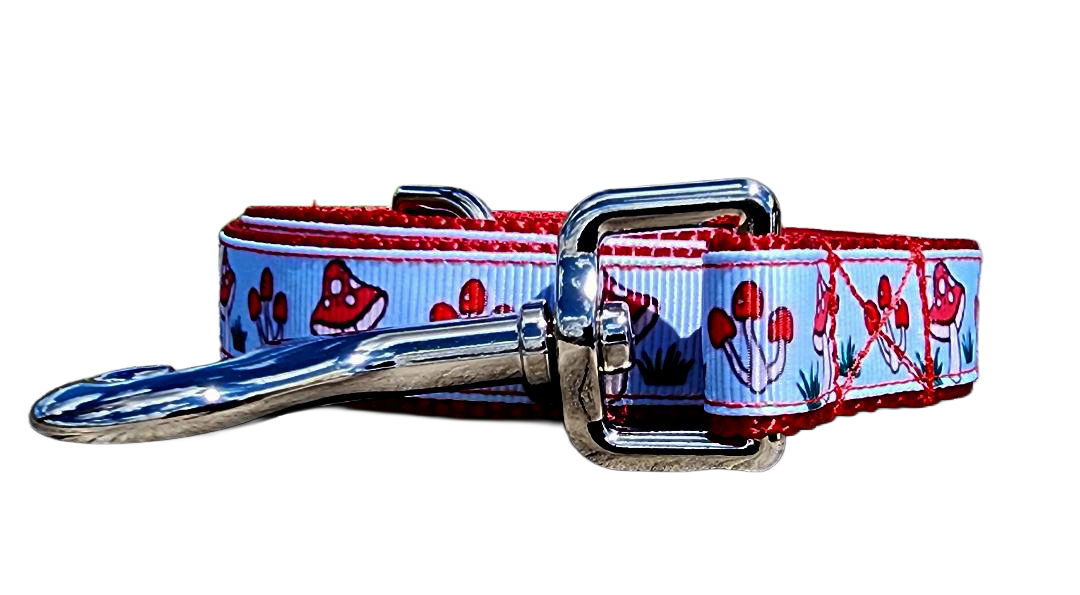 3/4" Mushroom Dog Collar or Leash