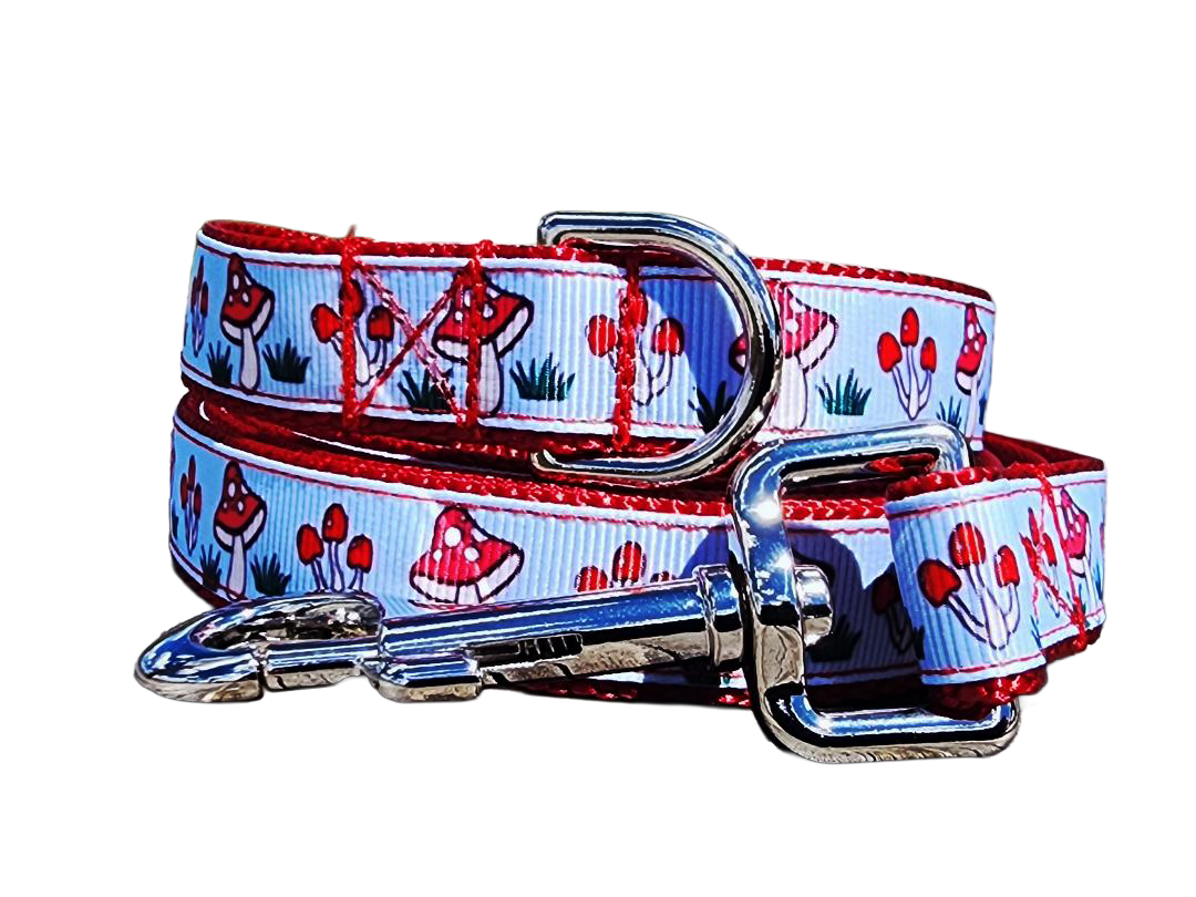 3/4" Mushroom Dog Collar or Leash