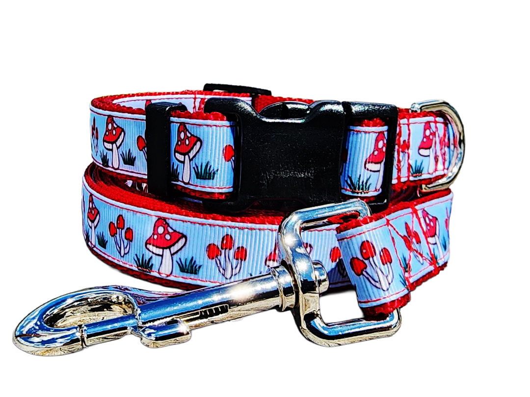 3/4" Mushroom Dog Collar or Leash