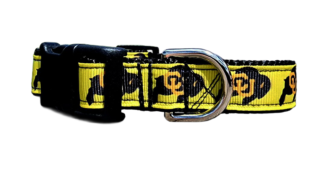 3/4" CU Boulder Dog Collar or Leash