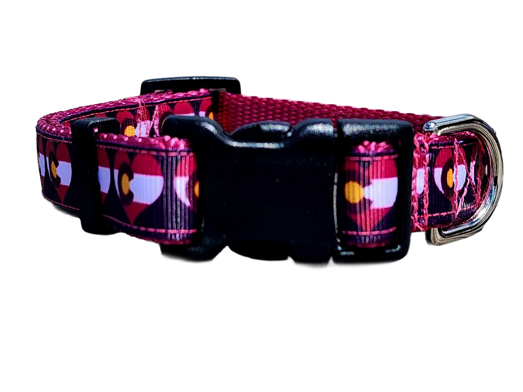 3/4" Pink Colorado Dog Collar or Leash