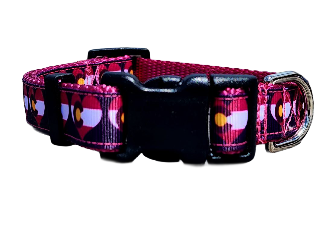 3/4" Pink Colorado Dog Collar or Leash
