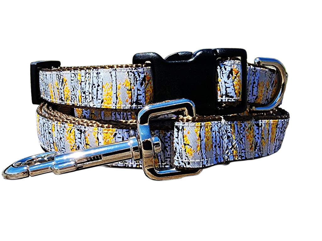 3/4" Aspen Tree Dog Collar or Leash