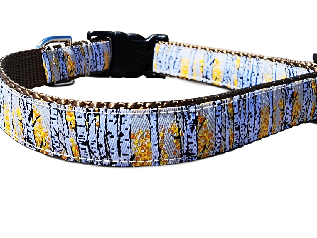 3/4" Aspen Tree Dog Collar or Leash