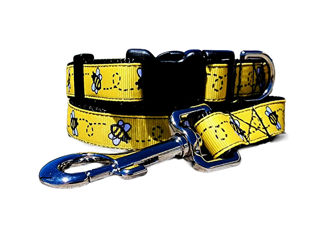 3/4" Black Bee Dog Collar or Leash