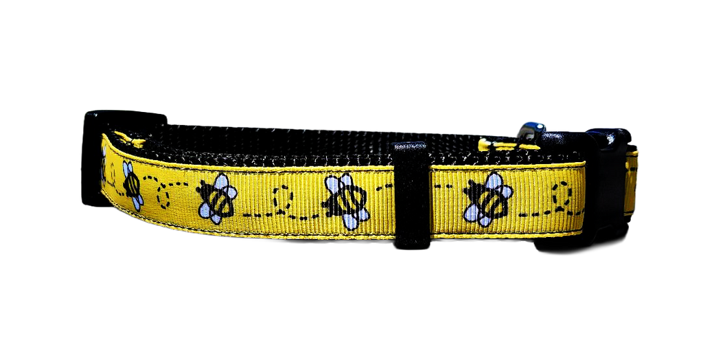 3/4" Black Bee Dog Collar or Leash