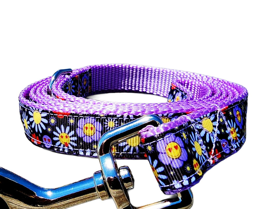 3/4" Boho Dog Collar or Leash