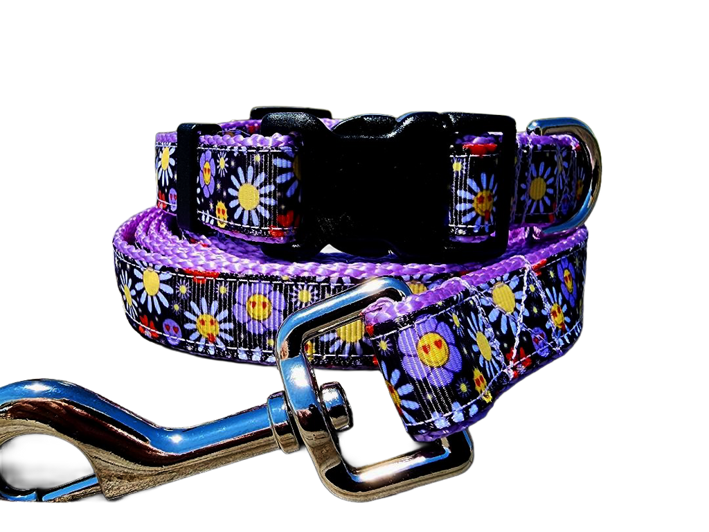 3/4" Boho Dog Collar or Leash