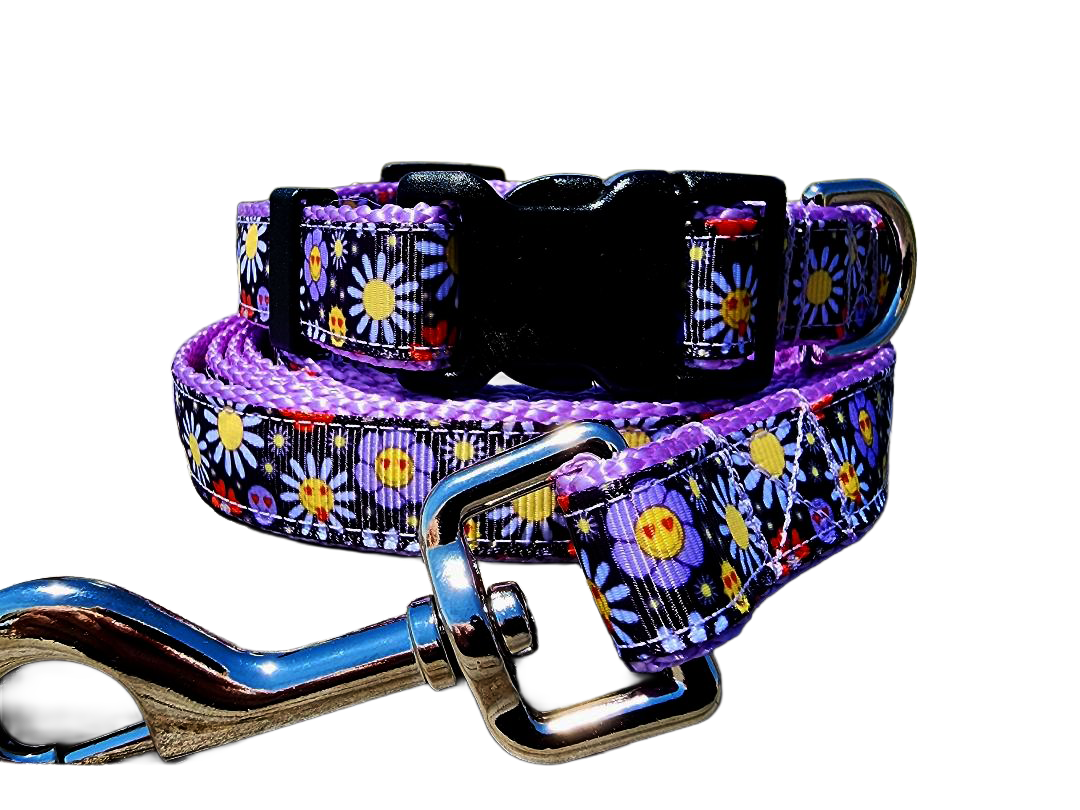 3/4" Boho Dog Collar or Leash