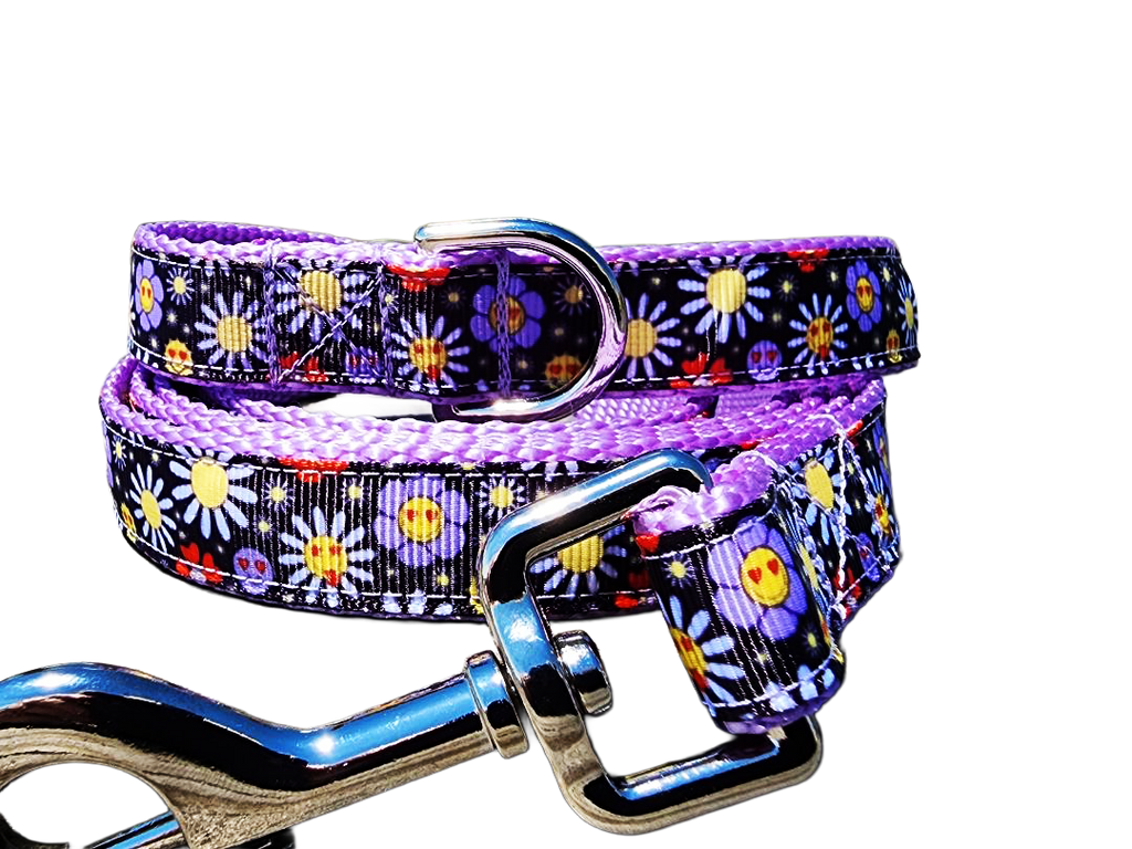 3/4" Boho Dog Collar or Leash