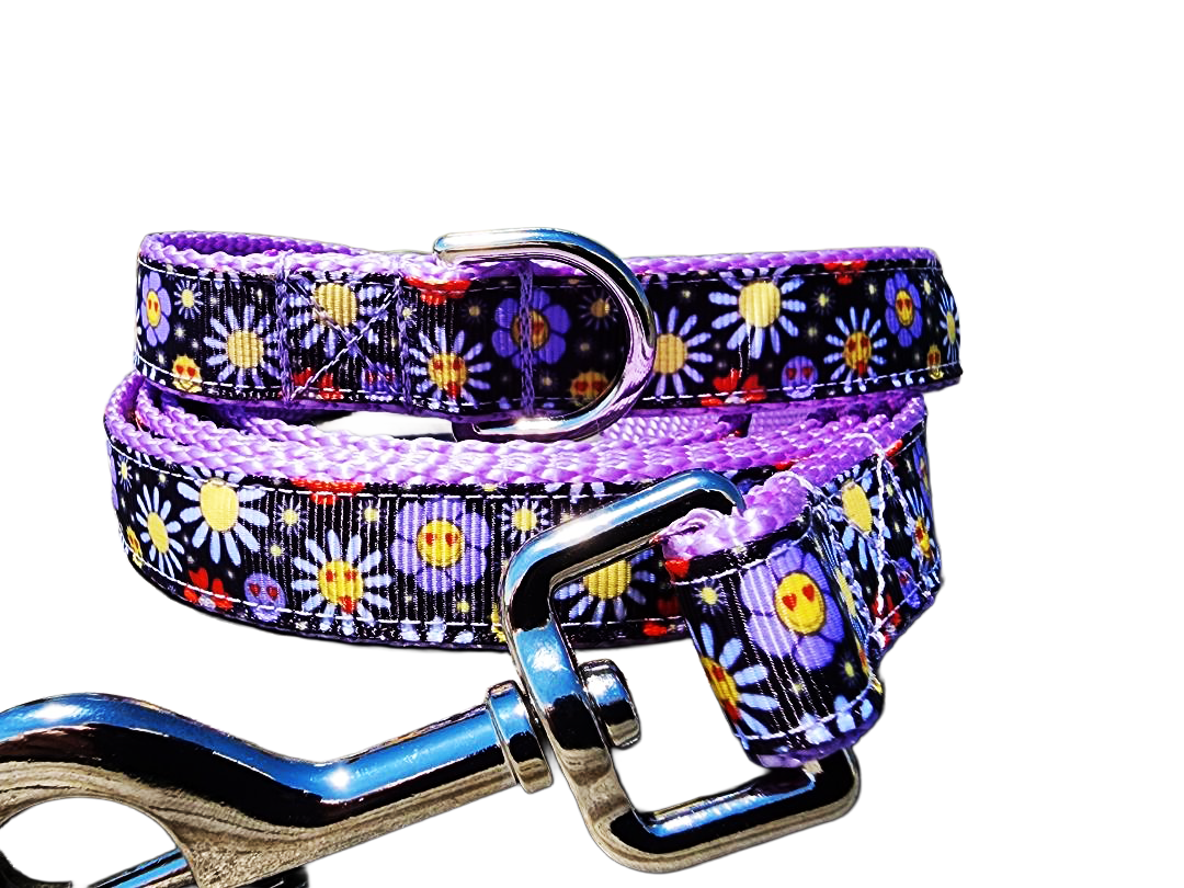 3/4" Boho Dog Collar or Leash