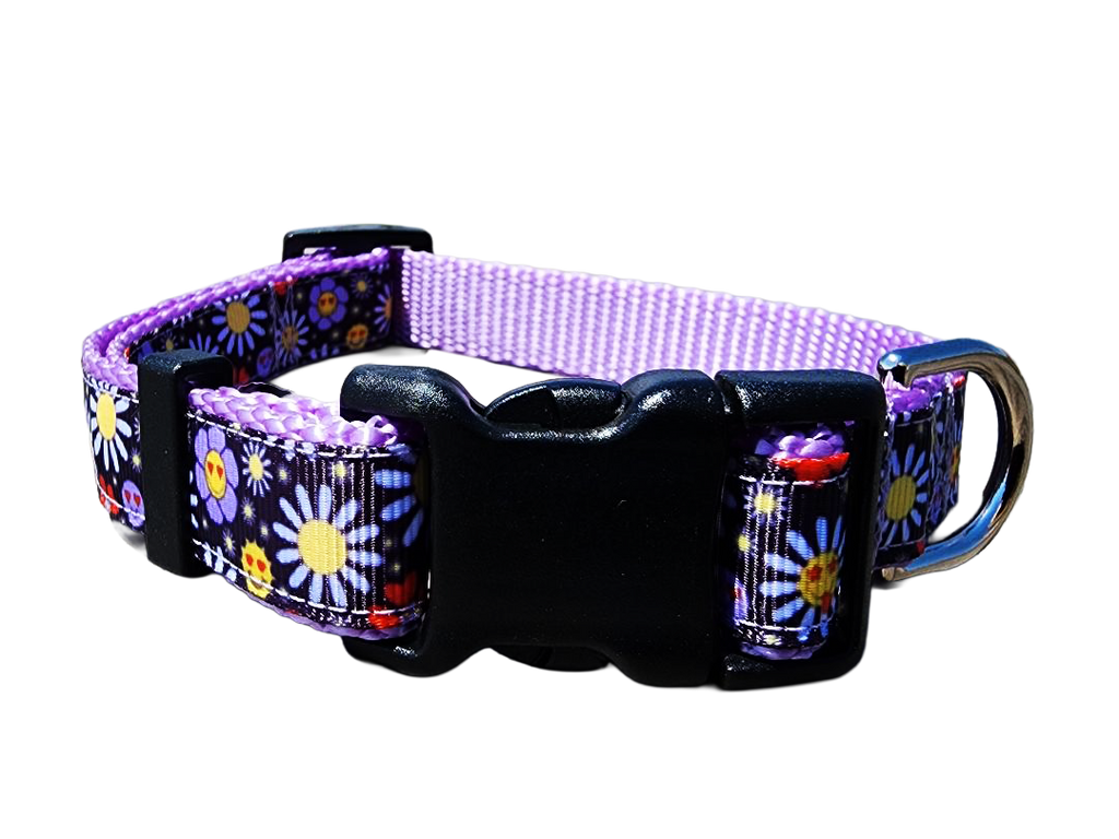 3/4" Boho Dog Collar or Leash