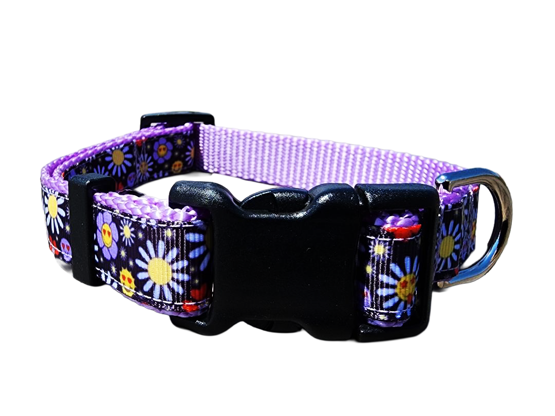 3/4" Boho Dog Collar or Leash
