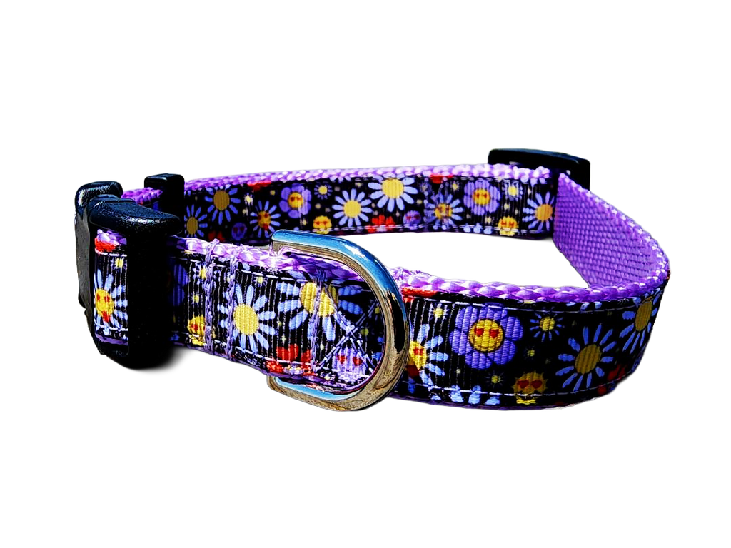 3/4" Boho Dog Collar or Leash