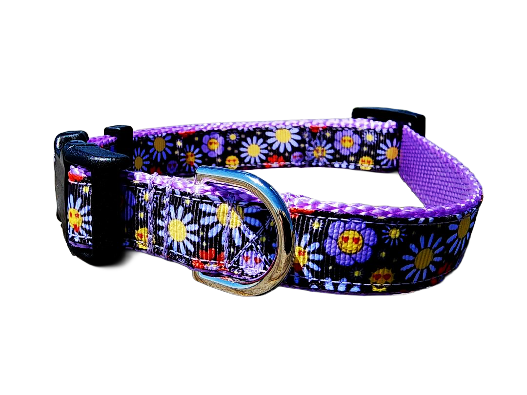 3/4" Boho Dog Collar or Leash