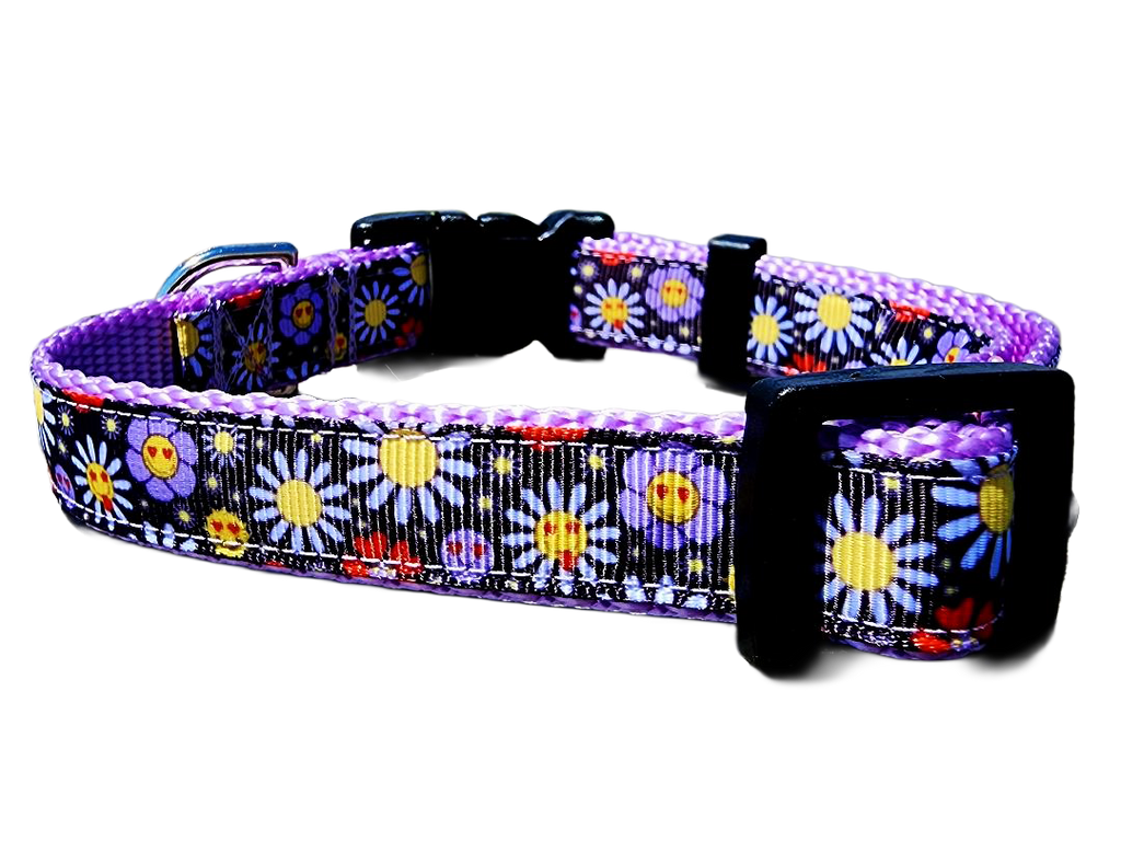 3/4" Boho Dog Collar or Leash