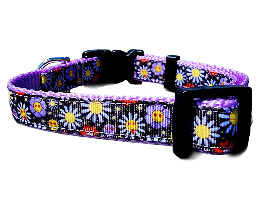 3/4" Boho Dog Collar or Leash