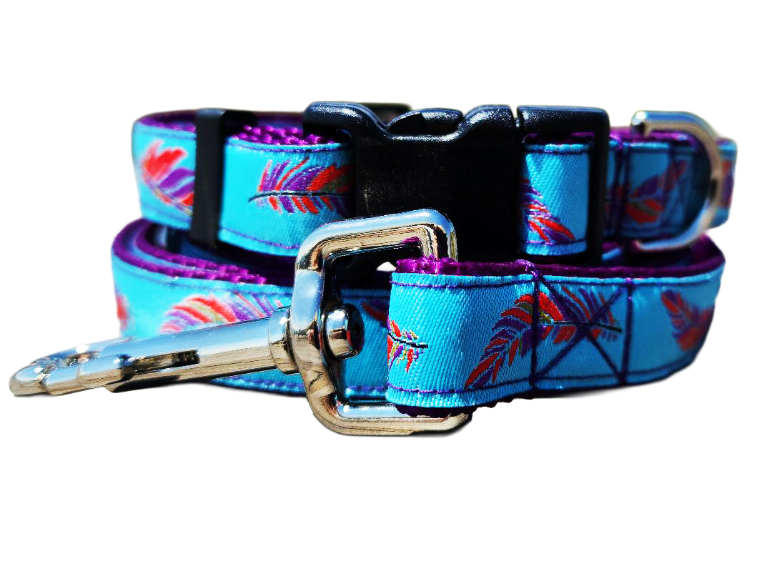 3/4" Southwest Feather Dog Collar or Leash