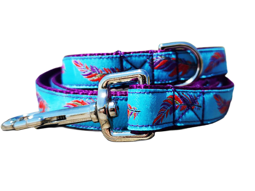 3/4" Southwest Feather Dog Collar or Leash