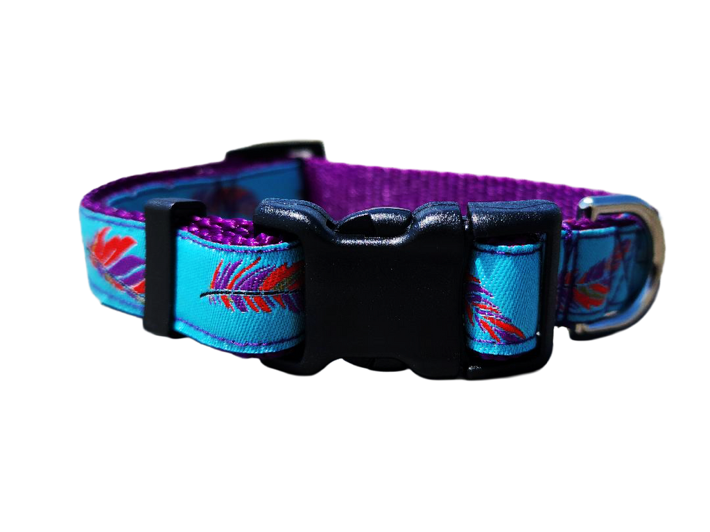 3/4" Southwest Feather Dog Collar or Leash