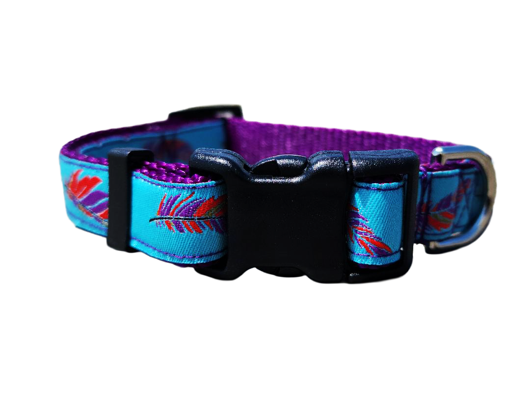 3/4" Southwest Feather Dog Collar or Leash