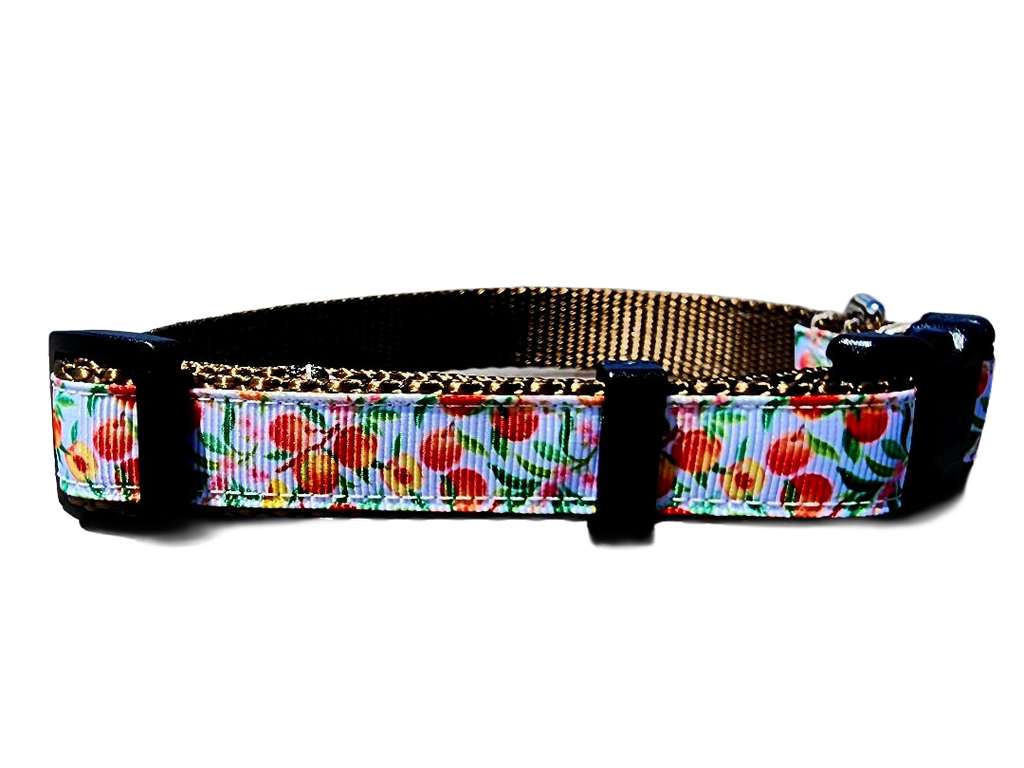 3/4" Peach Dog Collar or Leash