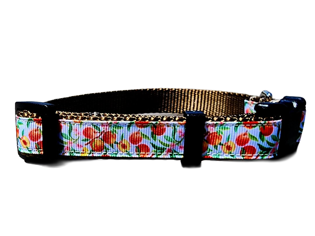 3/4" Peach Dog Collar or Leash
